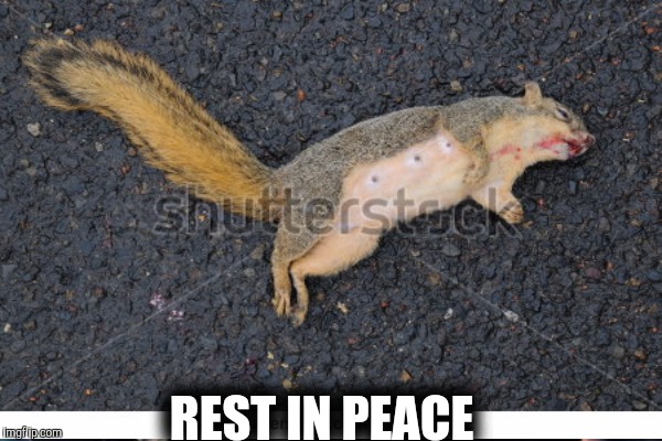 REST IN PEACE | made w/ Imgflip meme maker