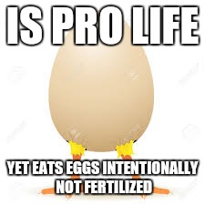 Are we worth more? | IS PRO LIFE; YET EATS EGGS INTENTIONALLY NOT FERTILIZED | image tagged in pro life | made w/ Imgflip meme maker