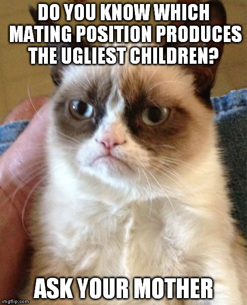 You're ugly | DO YOU KNOW WHICH MATING POSITION PRODUCES THE UGLIEST CHILDREN? ASK YOUR MOTHER | image tagged in memes,grumpy cat | made w/ Imgflip meme maker