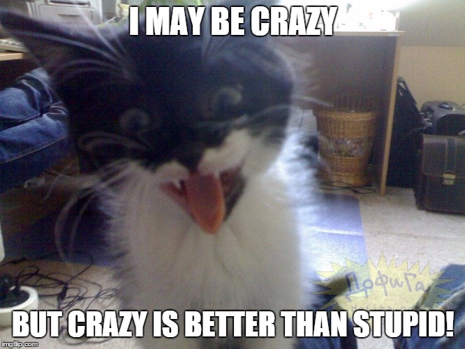I MAY BE CRAZY; BUT CRAZY IS BETTER THAN STUPID! | image tagged in crazy cat lady,better than stupid,crazy better than stupid | made w/ Imgflip meme maker