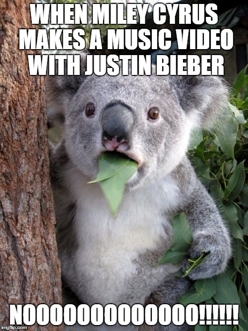 Surprised Koala | WHEN MILEY CYRUS MAKES A MUSIC VIDEO WITH JUSTIN BIEBER; NOOOOOOOOOOOOO!!!!!! | image tagged in memes,surprised coala | made w/ Imgflip meme maker