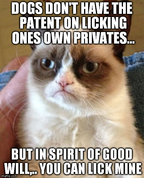 Grumpy Cat Meme | DOGS DON'T HAVE THE PATENT ON LICKING ONES OWN PRIVATES... BUT IN SPIRIT OF GOOD WILL,.. YOU CAN LICK MINE | image tagged in memes,grumpy cat | made w/ Imgflip meme maker