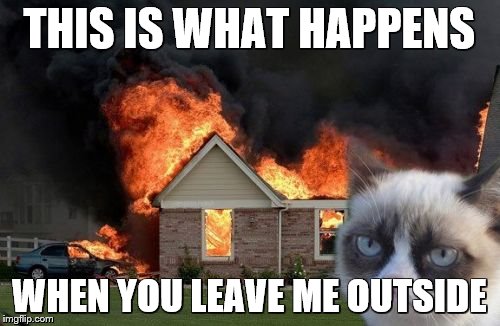 Burn Kitty Meme | THIS IS WHAT HAPPENS; WHEN YOU LEAVE ME OUTSIDE | image tagged in memes,burn kitty | made w/ Imgflip meme maker