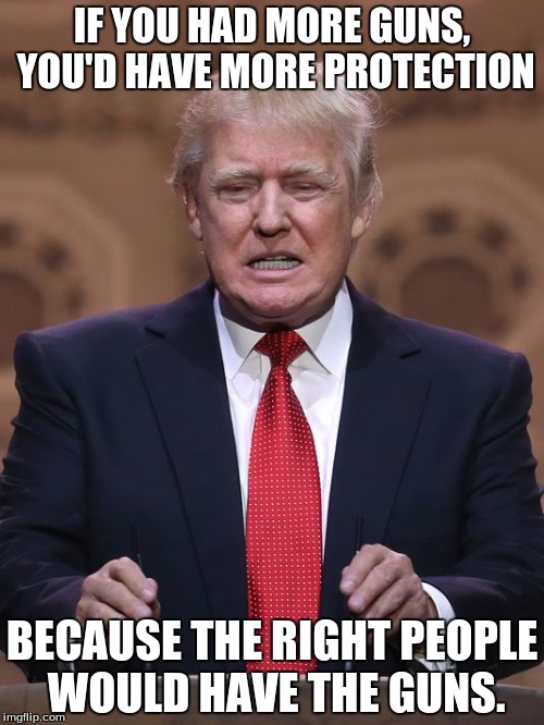 Donald Trump | IF YOU HAD MORE GUNS, YOU'D HAVE MORE PROTECTION; BECAUSE THE RIGHT PEOPLE WOULD HAVE THE GUNS. | image tagged in donald trump | made w/ Imgflip meme maker