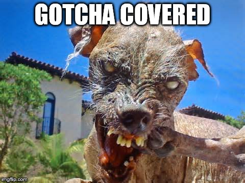 GOTCHA COVERED | made w/ Imgflip meme maker