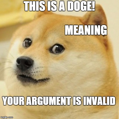 Doge | THIS IS A DOGE! MEANING; YOUR ARGUMENT IS INVALID | image tagged in memes,doge | made w/ Imgflip meme maker