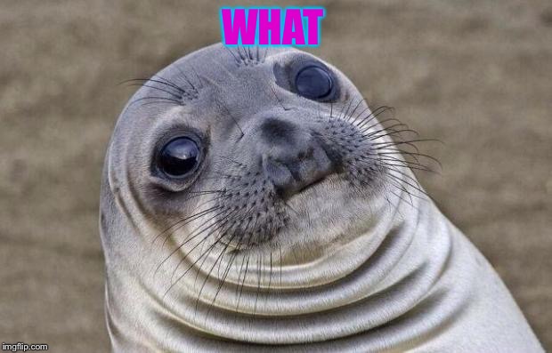 Awkward Moment Sealion | WHAT | image tagged in memes,awkward moment sealion | made w/ Imgflip meme maker