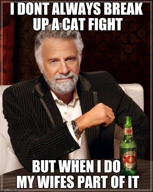 The Most Interesting Man In The World Meme | I DONT ALWAYS BREAK UP A CAT FIGHT BUT WHEN I DO MY WIFES PART OF IT | image tagged in memes,the most interesting man in the world | made w/ Imgflip meme maker