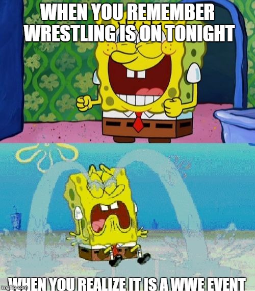 wrestling fans be like |  WHEN YOU REMEMBER WRESTLING IS ON TONIGHT; WHEN YOU REALIZE IT IS A WWE EVENT | image tagged in wwe fans,wwe,tna,roh,pro wrestling | made w/ Imgflip meme maker