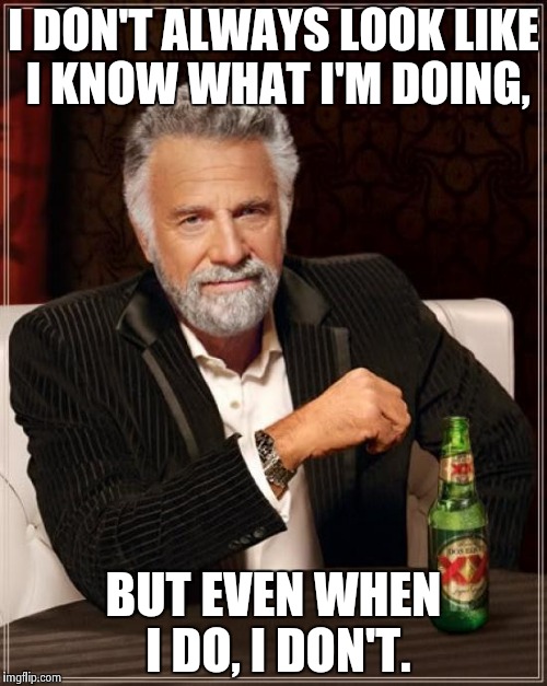 The Most Interesting Man In The World Meme | I DON'T ALWAYS LOOK LIKE I KNOW WHAT I'M DOING, BUT EVEN WHEN I DO, I DON'T. | image tagged in memes,the most interesting man in the world | made w/ Imgflip meme maker