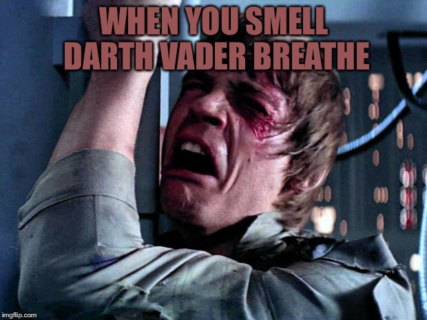 Luke Skywalker No Era Penal | WHEN YOU SMELL DARTH VADER BREATHE | image tagged in luke skywalker no era penal | made w/ Imgflip meme maker