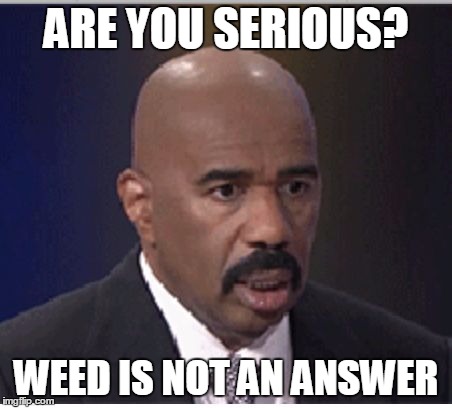 Steve Harvey | ARE YOU SERIOUS? WEED IS NOT AN ANSWER | image tagged in steve harvey | made w/ Imgflip meme maker