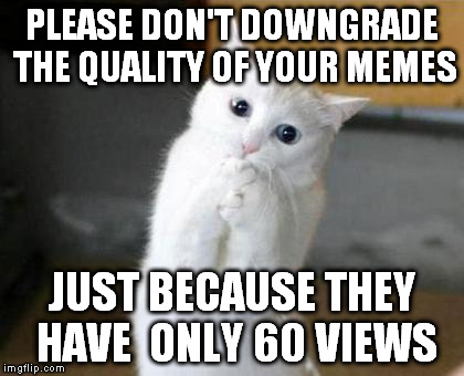 Those few viewers are very lucky and maybe needed that advise. | PLEASE DON'T DOWNGRADE THE QUALITY OF YOUR MEMES; JUST BECAUSE THEY HAVE  ONLY 60 VIEWS | image tagged in pleading,cat,memes | made w/ Imgflip meme maker
