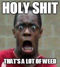 Scared Black Guy |  HOLY SHIT; THAT'S A LOT OF WEED | image tagged in scared black guy | made w/ Imgflip meme maker