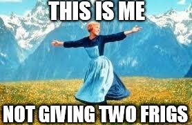 Look At All These | THIS IS ME; NOT GIVING TWO FRIGS | image tagged in memes,look at all these | made w/ Imgflip meme maker