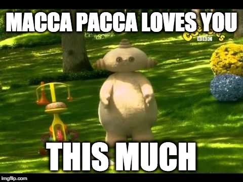 MACCA PACCA LOVES YOU; THIS MUCH | image tagged in maca paca loves you | made w/ Imgflip meme maker