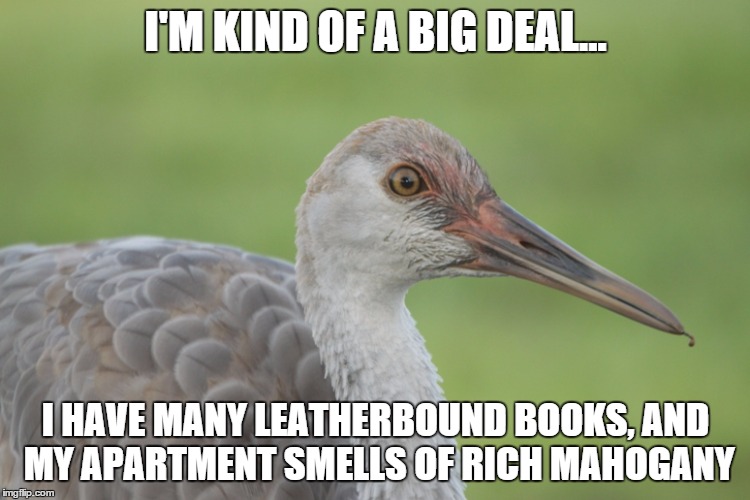 I'm kind of a big deal Crane | I'M KIND OF A BIG DEAL... I HAVE MANY LEATHERBOUND BOOKS, AND MY APARTMENT SMELLS OF RICH MAHOGANY | image tagged in crane anchorman,anchorman,crane,the anchorman,i'm kind of a big deal | made w/ Imgflip meme maker