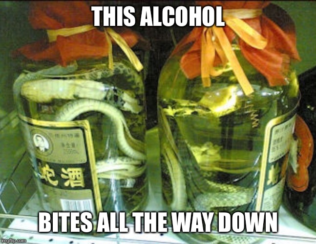 THIS ALCOHOL BITES ALL THE WAY DOWN | image tagged in chinese snake alcohol | made w/ Imgflip meme maker