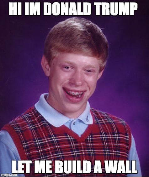 Bad Luck Brian | HI IM DONALD TRUMP; LET ME BUILD A WALL | image tagged in memes,bad luck brian | made w/ Imgflip meme maker