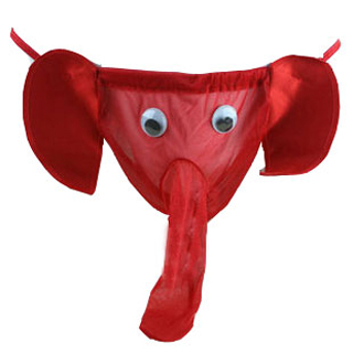 Red panties Blank Meme Template