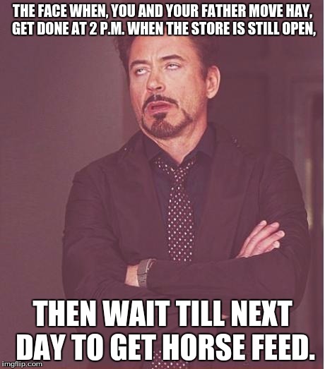 Face You Make Robert Downey Jr | THE FACE WHEN, YOU AND YOUR FATHER MOVE HAY, GET DONE AT 2 P.M. WHEN THE STORE IS STILL OPEN, THEN WAIT TILL NEXT DAY TO GET HORSE FEED. | image tagged in memes,face you make robert downey jr | made w/ Imgflip meme maker