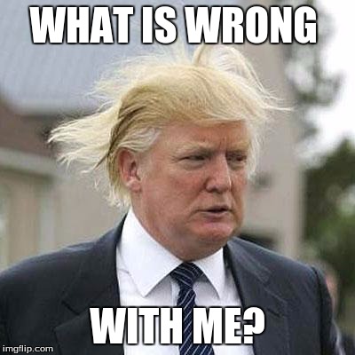 Donald Trump | WHAT IS WRONG; WITH ME? | image tagged in memes,funny,politics,donald trump | made w/ Imgflip meme maker