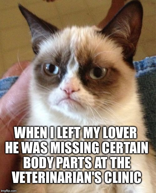 Grumpy Cat Meme | WHEN I LEFT MY LOVER HE WAS MISSING CERTAIN BODY PARTS AT THE VETERINARIAN'S CLINIC | image tagged in memes,grumpy cat | made w/ Imgflip meme maker