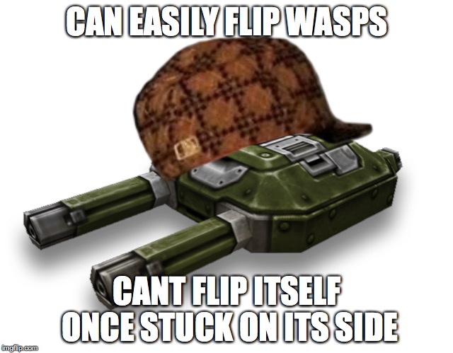 zmq5q.jpg