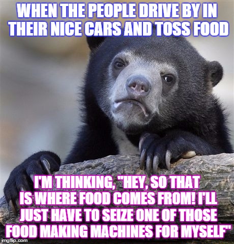 Confession Bear | WHEN THE PEOPLE DRIVE BY IN THEIR NICE CARS AND TOSS FOOD; I'M THINKING, "HEY, SO THAT IS WHERE FOOD COMES FROM! I'LL JUST HAVE TO SEIZE ONE OF THOSE FOOD MAKING MACHINES FOR MYSELF" | image tagged in memes,confession bear | made w/ Imgflip meme maker