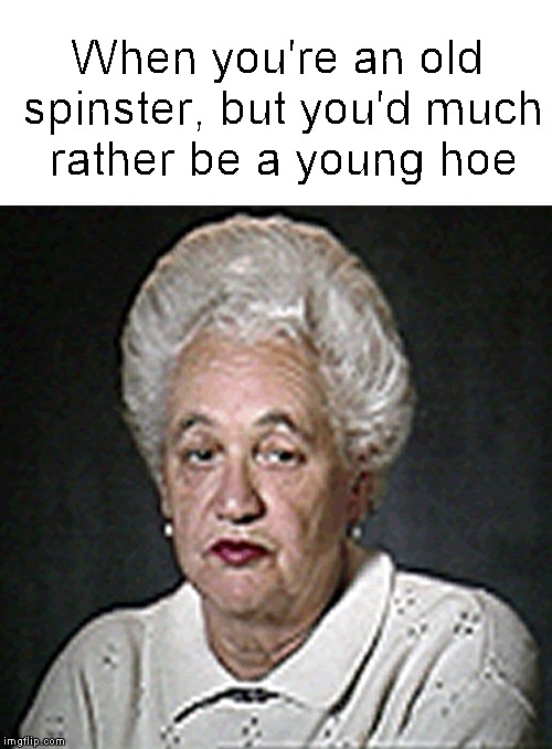 If I could do it all over again.... | When you're an old spinster, but you'd much rather be a young hoe | image tagged in funny memes,old lady | made w/ Imgflip meme maker