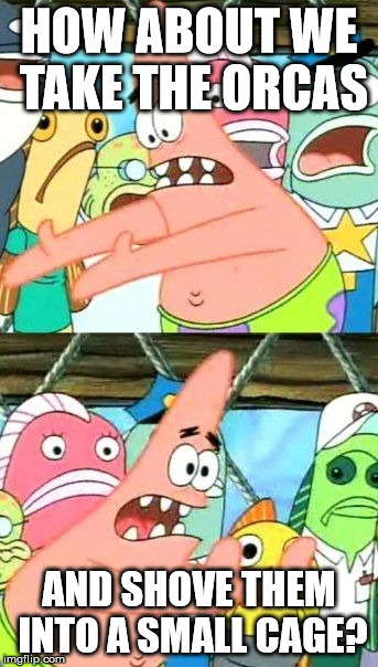 Put It Somewhere Else Patrick Meme | HOW ABOUT WE TAKE THE ORCAS; AND SHOVE THEM INTO A SMALL CAGE? | image tagged in memes,put it somewhere else patrick | made w/ Imgflip meme maker