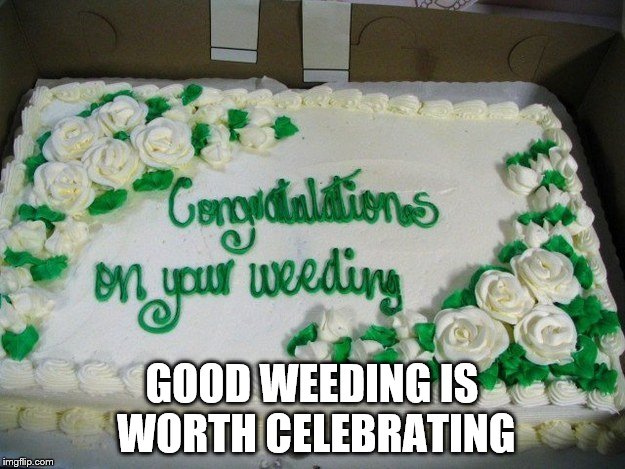 There's nothing like a weed free garden | GOOD WEEDING IS WORTH CELEBRATING | image tagged in memes,cake,fail | made w/ Imgflip meme maker