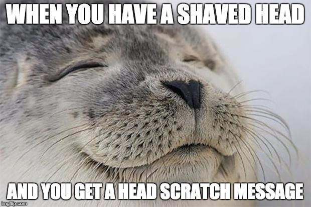 Satisfied Seal | WHEN YOU HAVE A SHAVED HEAD; AND YOU GET A HEAD SCRATCH MESSAGE | image tagged in memes,satisfied seal | made w/ Imgflip meme maker