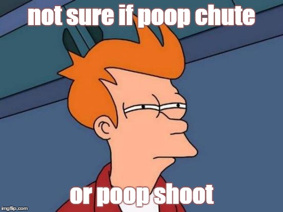 Futurama Fry Meme | not sure if poop chute or poop shoot | image tagged in memes,futurama fry | made w/ Imgflip meme maker