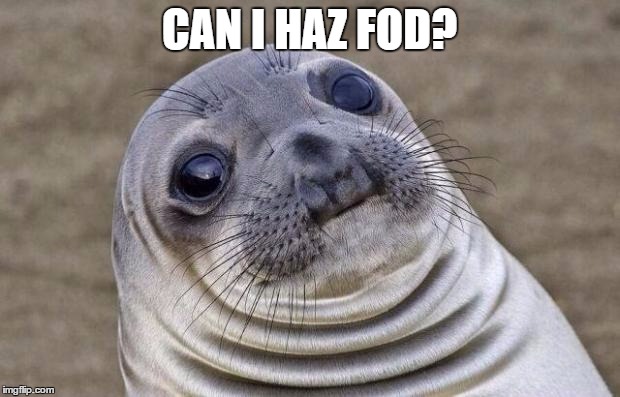 Awkward Moment Sealion | CAN I HAZ FOD? | image tagged in memes,awkward moment sealion | made w/ Imgflip meme maker