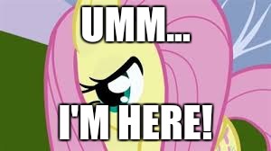 Shy Fluttershy | UMM... I'M HERE! | image tagged in shy fluttershy | made w/ Imgflip meme maker