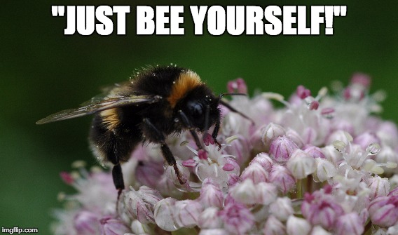 "JUST BEE YOURSELF!" | made w/ Imgflip meme maker