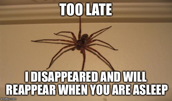 TOO LATE I DISAPPEARED AND WILL REAPPEAR WHEN YOU ARE ASLEEP | made w/ Imgflip meme maker