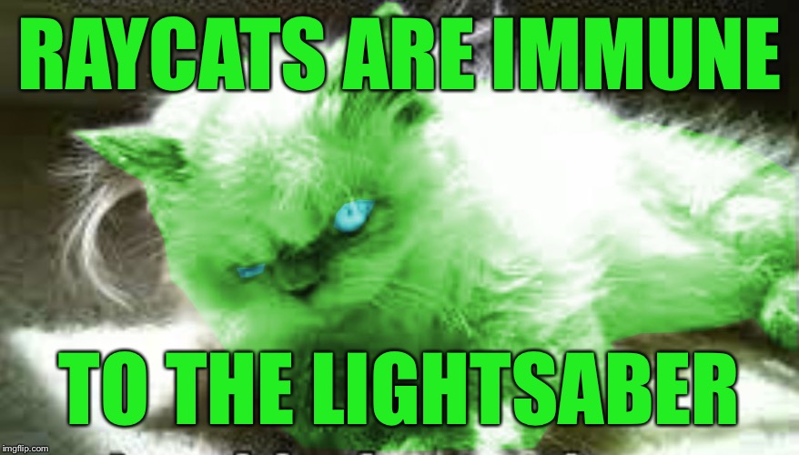 mad raycat | RAYCATS ARE IMMUNE TO THE LIGHTSABER | image tagged in mad raycat | made w/ Imgflip meme maker