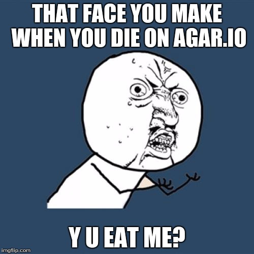 Y U No | THAT FACE YOU MAKE WHEN YOU DIE ON AGAR.IO; Y U EAT ME? | image tagged in memes,y u no | made w/ Imgflip meme maker