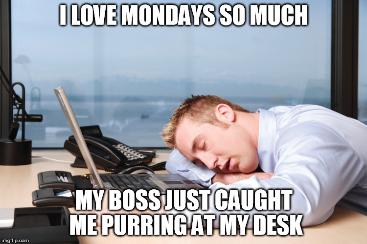 Loving Monday | I LOVE MONDAYS SO MUCH; MY BOSS JUST CAUGHT ME PURRING AT MY DESK | image tagged in mondays,sleeping,snoring,funny cats | made w/ Imgflip meme maker