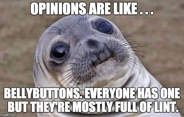 Awkward Moment Sealion Meme | OPINIONS ARE LIKE . . . BELLYBUTTONS. EVERYONE HAS ONE BUT THEY'RE MOSTLY FULL OF LINT. | image tagged in memes,awkward moment sealion | made w/ Imgflip meme maker