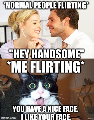 Me vs normals.  | *NORMAL PEOPLE FLIRTING*; "HEY HANDSOME"; *ME FLIRTING*; YOU HAVE A NICE FACE. I LIKE YOUR FACE. | image tagged in funny memes | made w/ Imgflip meme maker