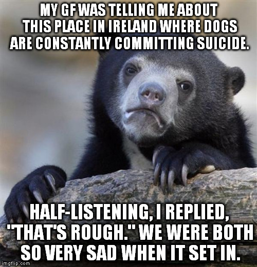 sad bear | MY GF WAS TELLING ME ABOUT THIS PLACE IN IRELAND WHERE DOGS ARE CONSTANTLY COMMITTING SUICIDE. HALF-LISTENING, I REPLIED, "THAT'S ROUGH." WE WERE BOTH SO VERY SAD WHEN IT SET IN. | image tagged in sad bear | made w/ Imgflip meme maker