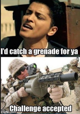 image tagged in grenade,challenge accepted | made w/ Imgflip meme maker