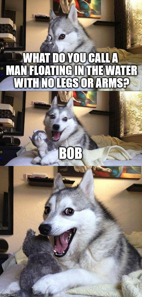 Pun | WHAT DO YOU CALL A MAN FLOATING IN THE WATER WITH NO LEGS OR ARMS? BOB | image tagged in memes,bad pun dog,funny memes,funny,bad pun | made w/ Imgflip meme maker