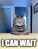 Patient cat | I CAN WAIT | image tagged in patient cat | made w/ Imgflip meme maker