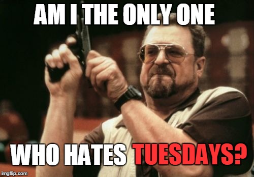 Am I The Only One Around Here Meme | AM I THE ONLY ONE; WHO HATES; TUESDAYS? | image tagged in memes,am i the only one around here | made w/ Imgflip meme maker