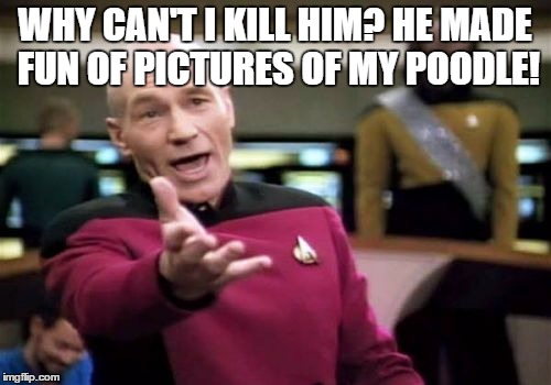 Picard Wtf Meme | WHY CAN'T I KILL HIM? HE MADE FUN OF PICTURES OF MY POODLE! | image tagged in memes,picard wtf | made w/ Imgflip meme maker
