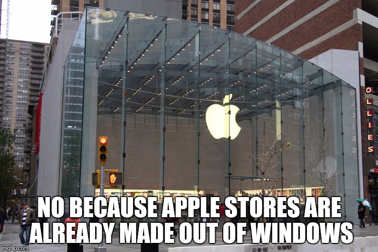 NO BECAUSE APPLE STORES ARE ALREADY MADE OUT OF WINDOWS | made w/ Imgflip meme maker